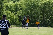 OTFL Gallery Image